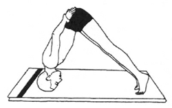 23.jpg (34153 bytes)